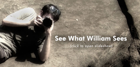 Slideshow Link - See What William Sees