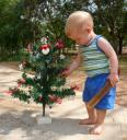Trey and our Christmas Tree