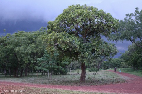 Storm clouds in Northern Ghana