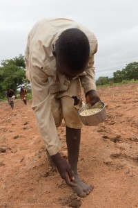 sowing-corn-northern-ghana-IMG_0002